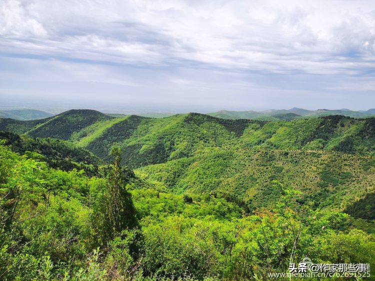 赴一场槐花的邀约——宝鸡作家赴扶风野河山采风