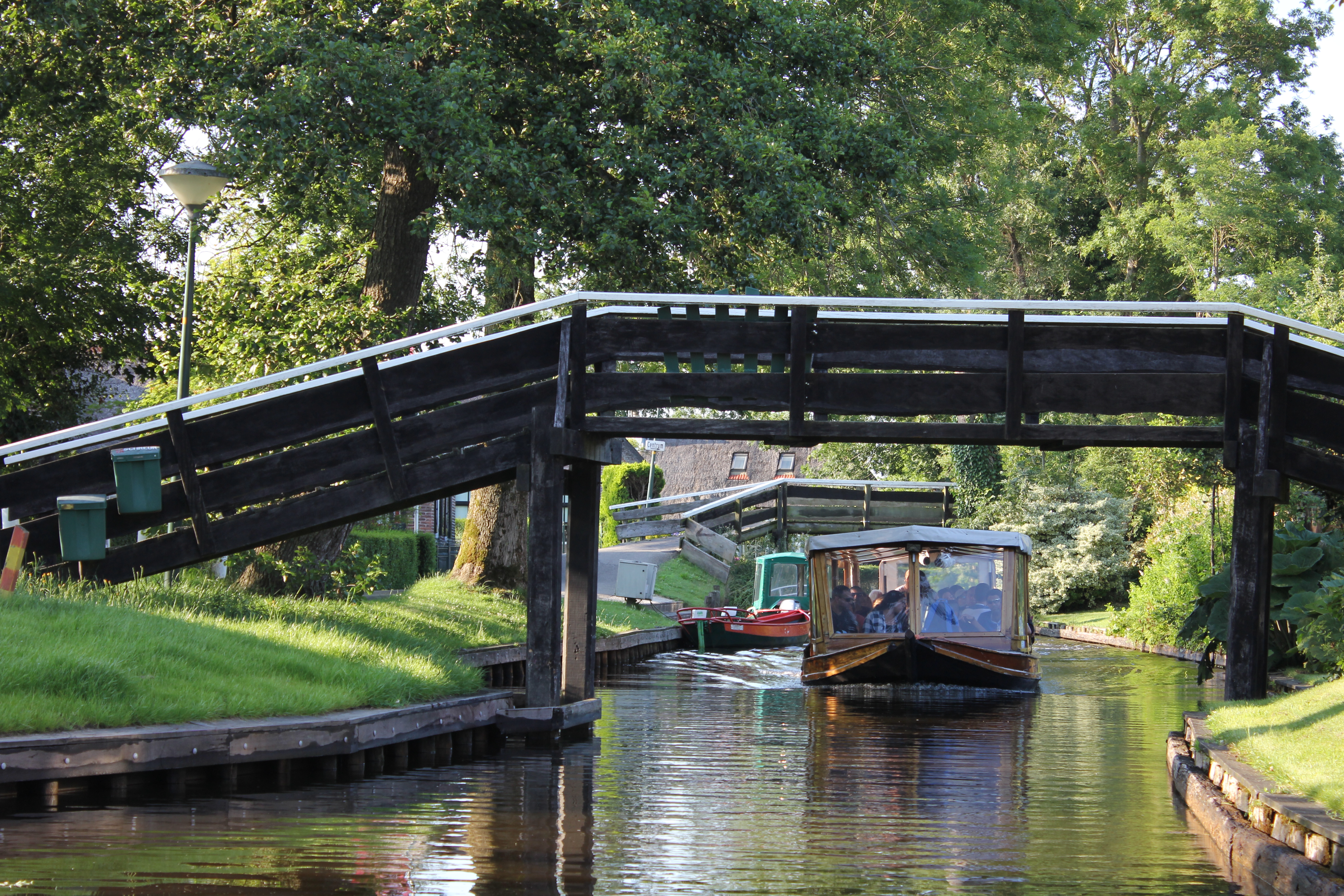 夏日童趣三年级,童趣夏日好时光