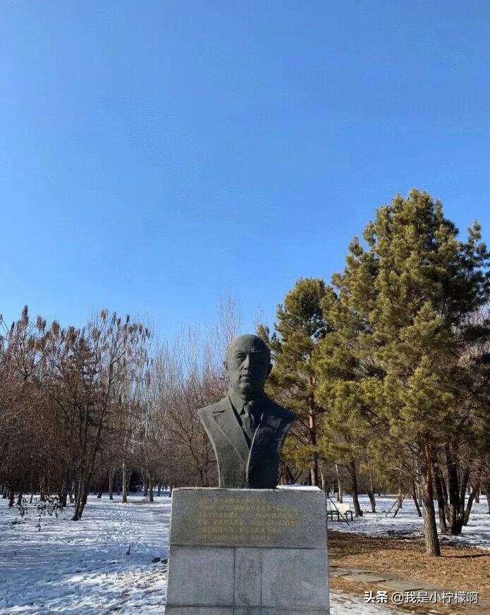 沈阳航空航天大学,沈阳航空航天大学2020录取分数线