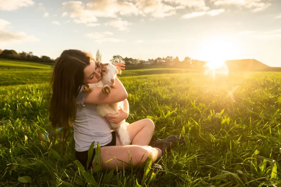 蒙臻婴幼儿羊奶粉配方,典极儿童羊奶粉价格