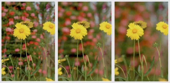 摄影景深和用光,摄影景深是什么意思