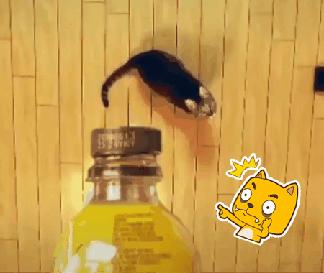 戴上了金箍就要放下七情六欲,今日萌图