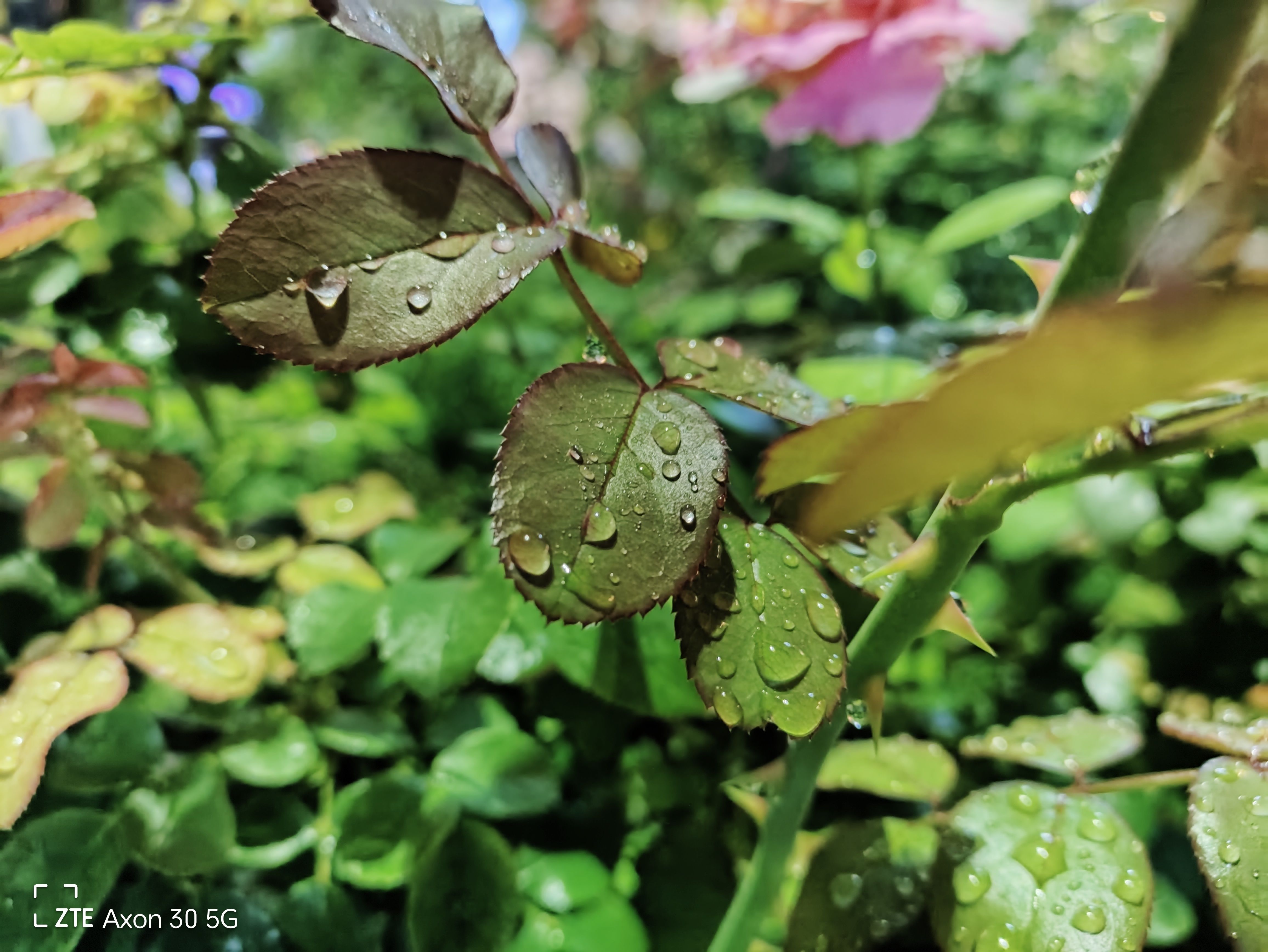 中兴axon305g手机测评,中兴axon30屏下版上手体验