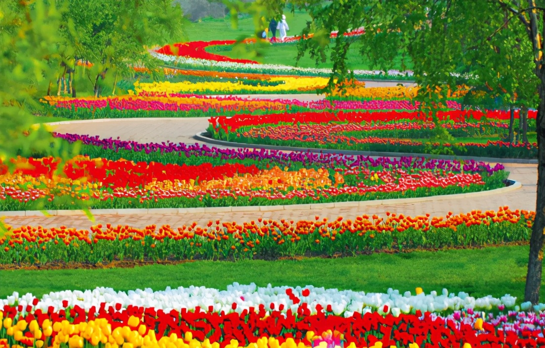 沈阳春暖花开,春暖花开沈阳自由行攻略