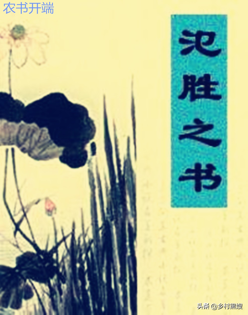 小麦是怎么生长的视频,小麦的起源与发展历史是怎样的