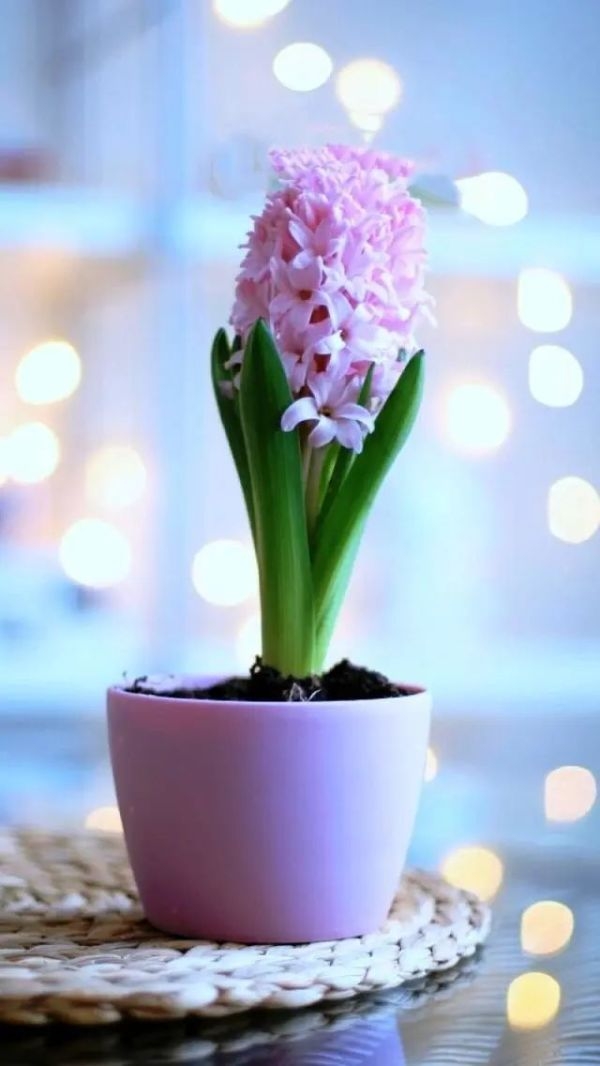 朋友圈说说精致的句子,精致走心的句子高级朋友圈说说