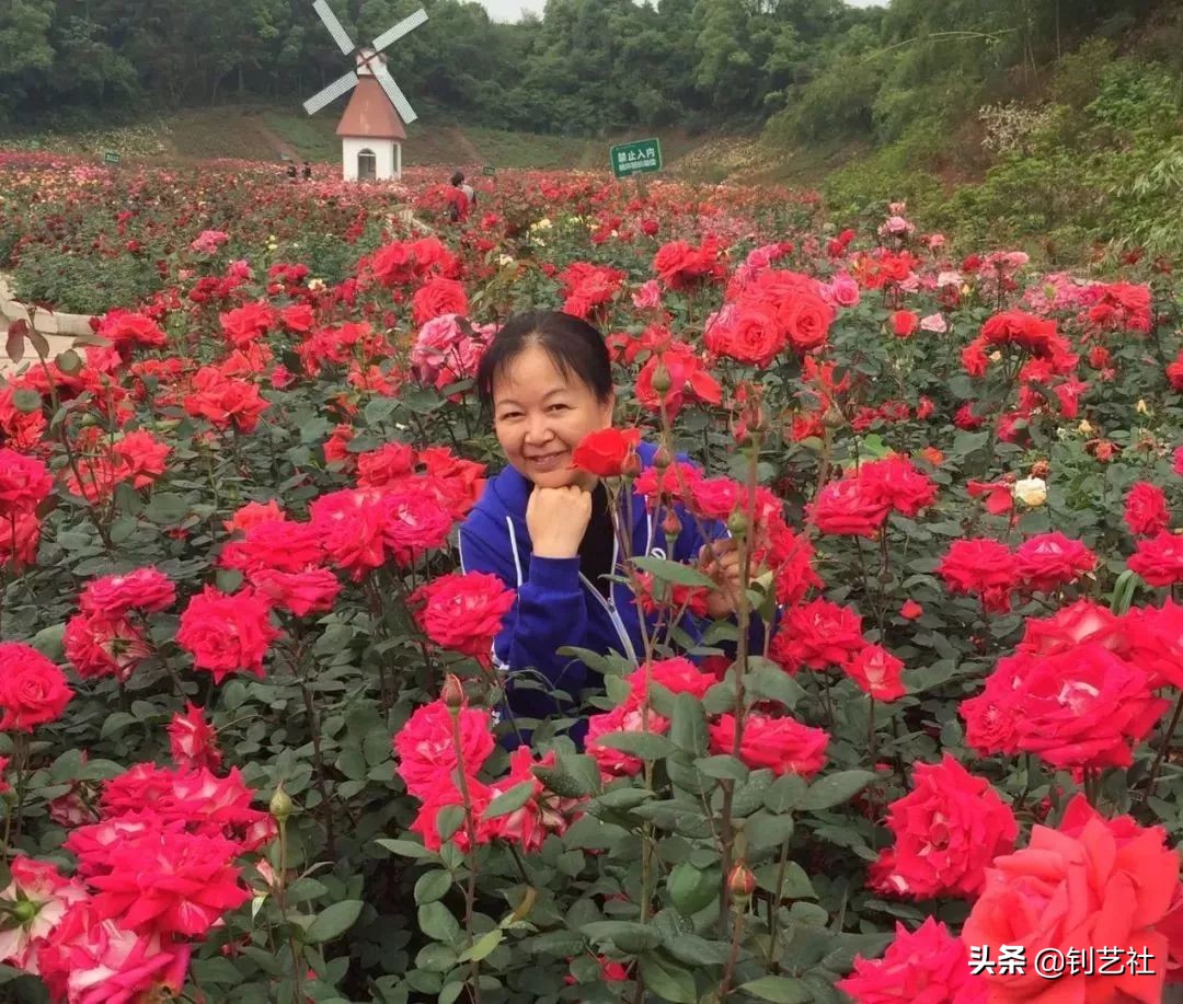 中国大妈式旅游拍照,中国大妈拍照十大姿势