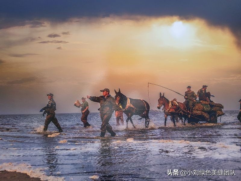 五一来北戴河赶海,五一去营口赶海