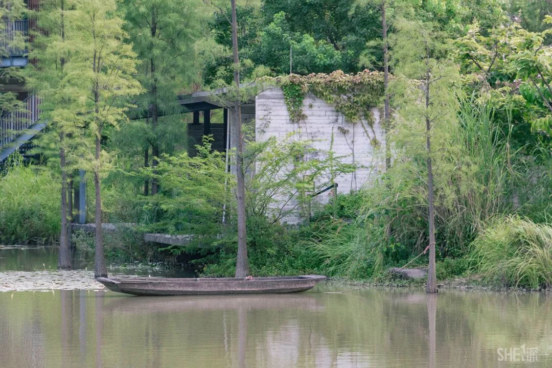 鍘夊浜嗘垜鐨勫ぇ瑗垮畨,鍘夊浜嗘垜鐨勫ぇ鑸熷北