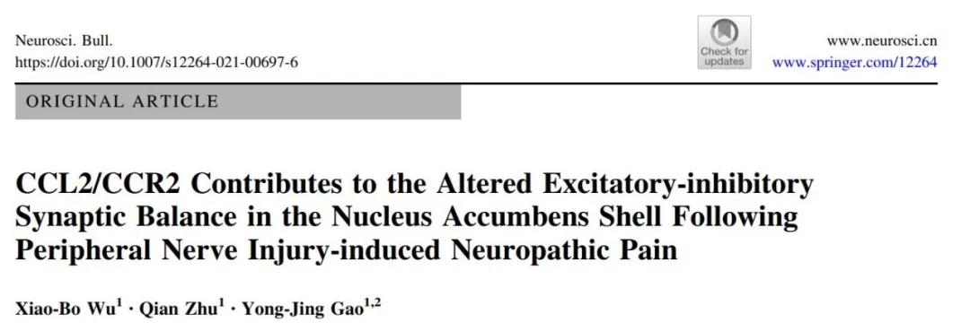伏隔核趋化因子调控神经病理性疼痛