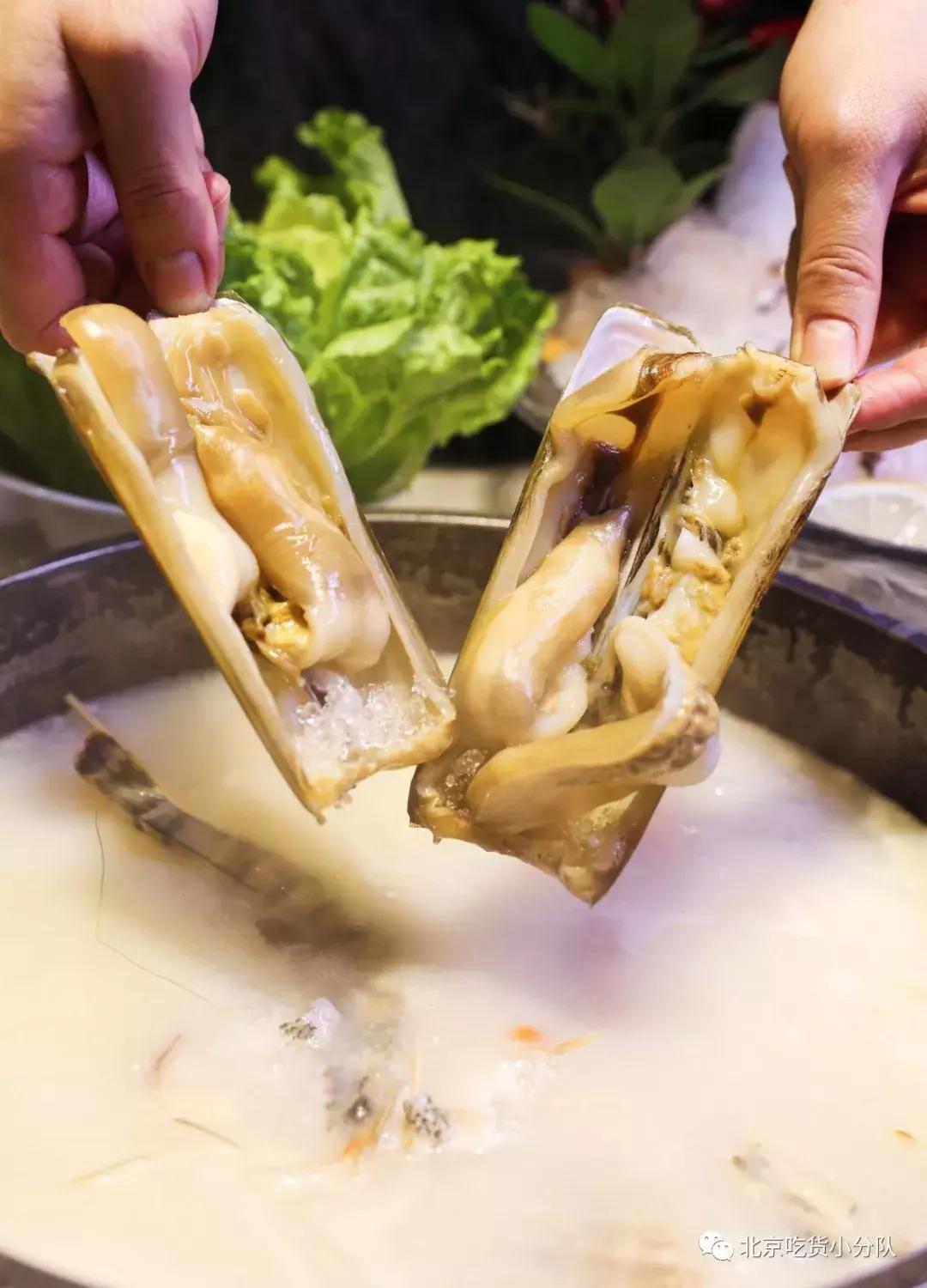 敢吃它的女生，我劝你不要惹