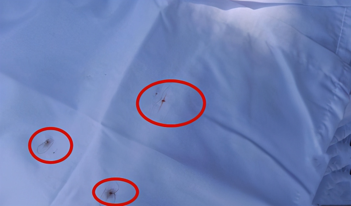 学生定制1900元校服,学生校服大量定制为什么还那么贵