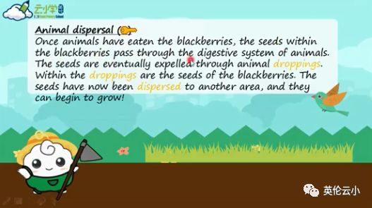 植物传播种子的方法有哪些二年级,我知道植物传播种子的方式有哪些