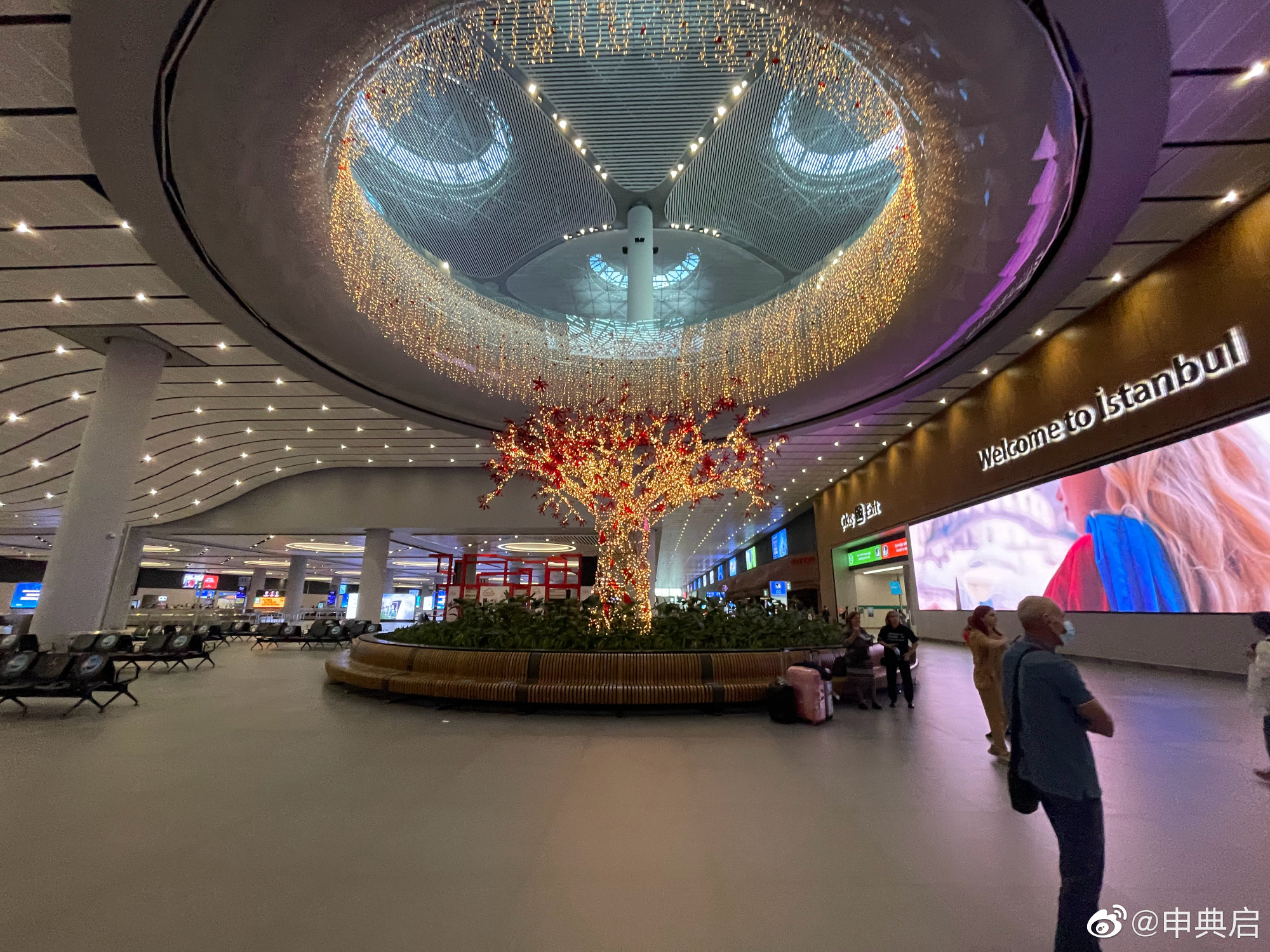 土耳其伊斯坦布尔撸猫圣地,4年后再出发