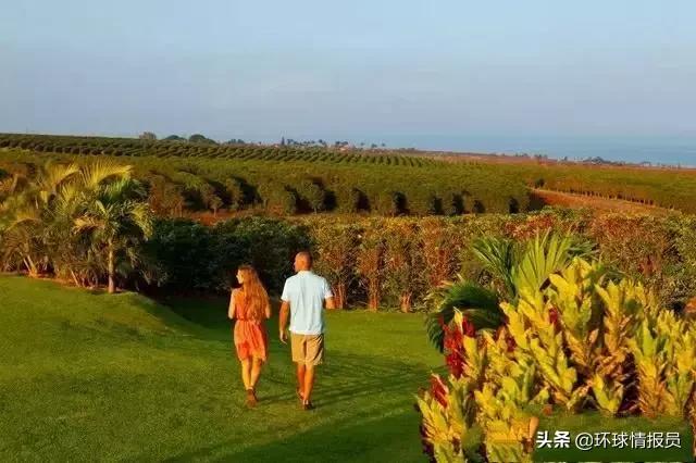 夏威夷离美国本土多远地图,夏威夷离美国西海岸多少公里