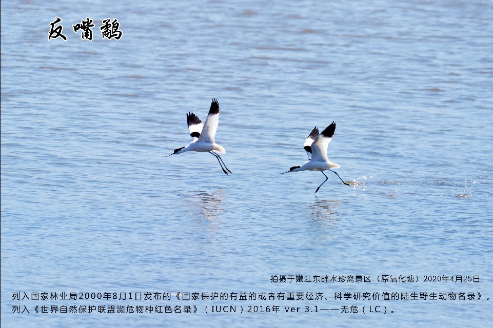 榻愰綈鍝堝皵瀚╂睙涓滄按鐝嶇鍏洯,榻愰綈鍝堝皵瀚╂睙涓滄按鐝嶇婀垮湴鍏洯