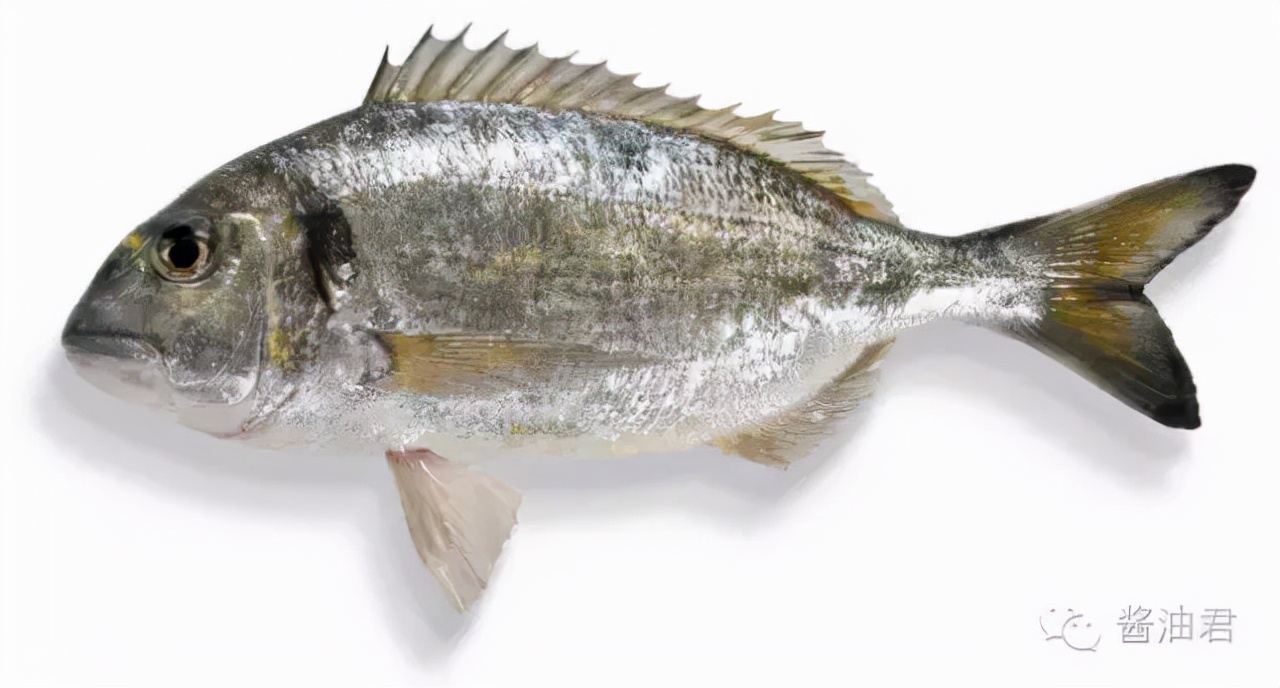 美国超市有哪些鱼,英国超市一般有什么鱼