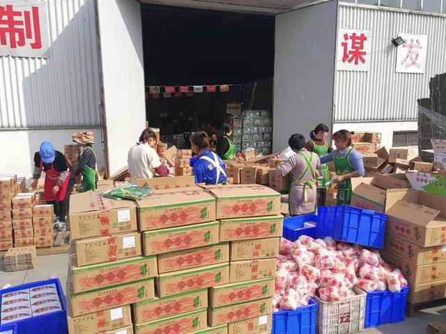 鹃城牌郫县豆瓣特级,四川鹃城牌郫县豆瓣价格走势