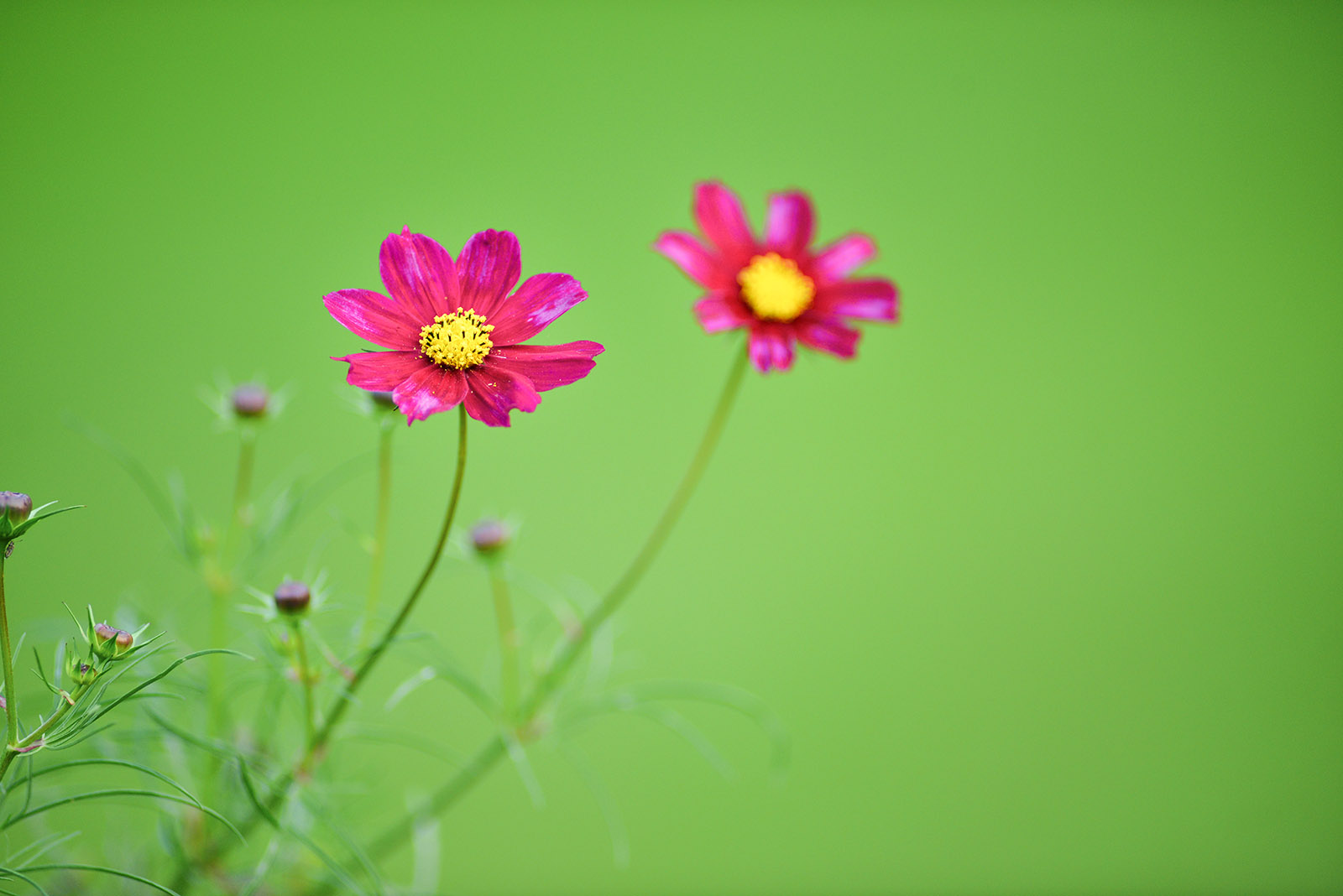 第9篇关于二手（这是个沉重而有趣的话题）