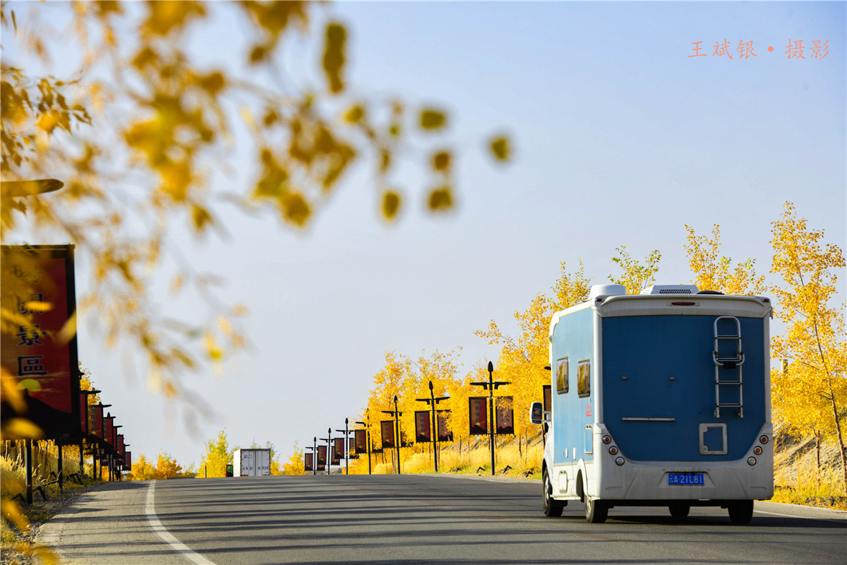 第一次去看胡杨的感触,第一次体验到沙漠乐趣