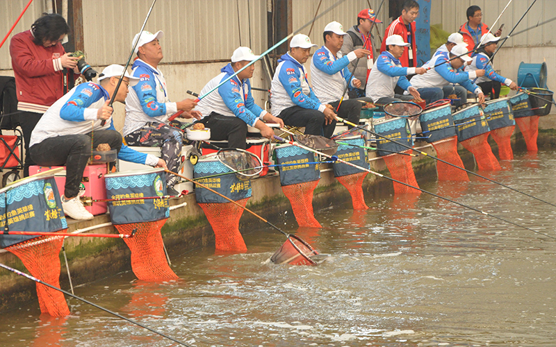 百万级钓鱼比赛,618钓鱼大赛