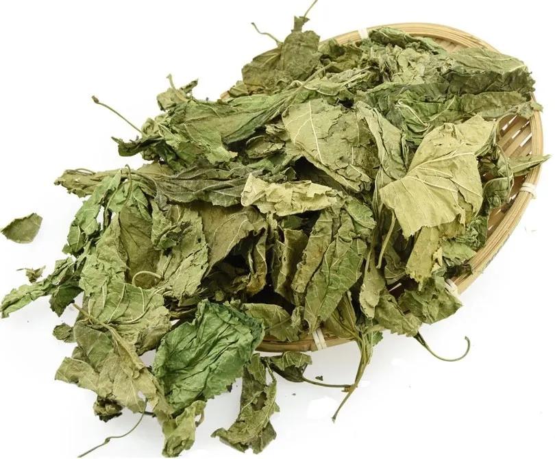 中药里面的桑黄,中药中的桑黄