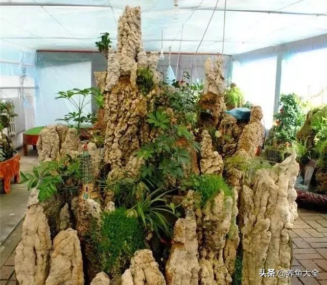 上水石盆景制作方法是什么,上水石盆景制作视频教程完整版