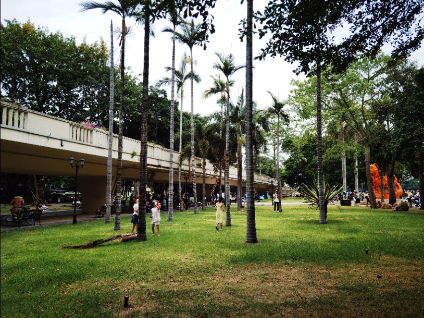 广州沙面是租界吗,广州沙面街最新照片