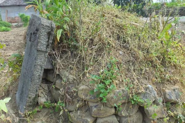 2024寡妇年无春年是什么意思,2024无春年有哪些忌讳