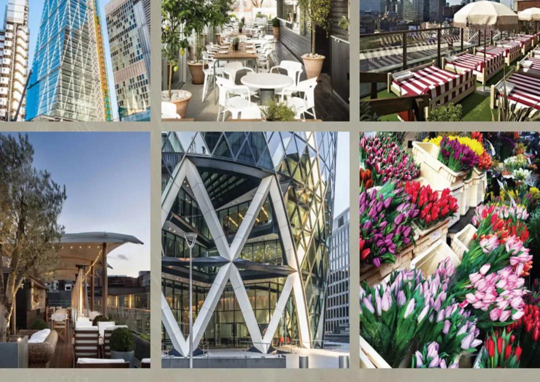 伦敦一区肖迪奇#御郡#室内面积约62-100.89㎡豪华单元