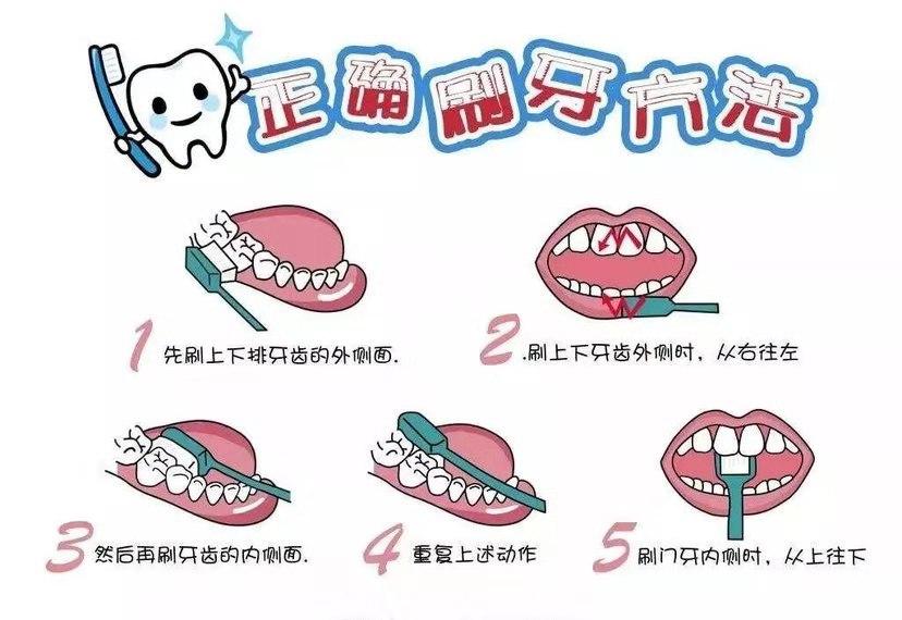 牙缝里黄黄的硬的,牙缝里臭臭的黄泥