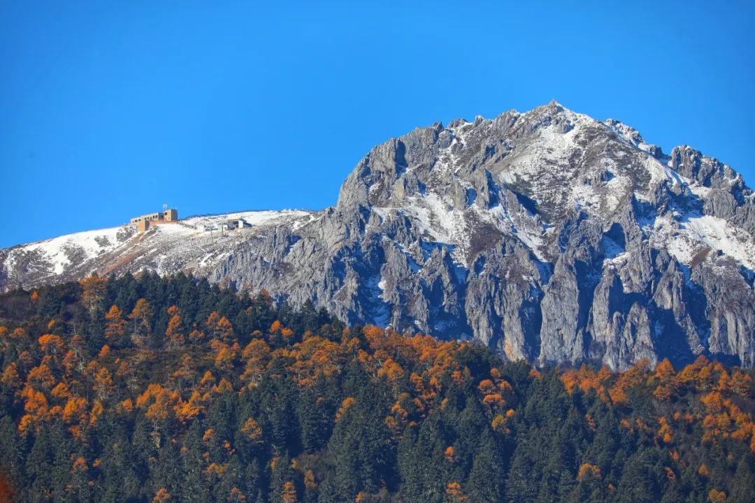 官宣免费全本小说,影后和大总裁官宣了全文免费阅读