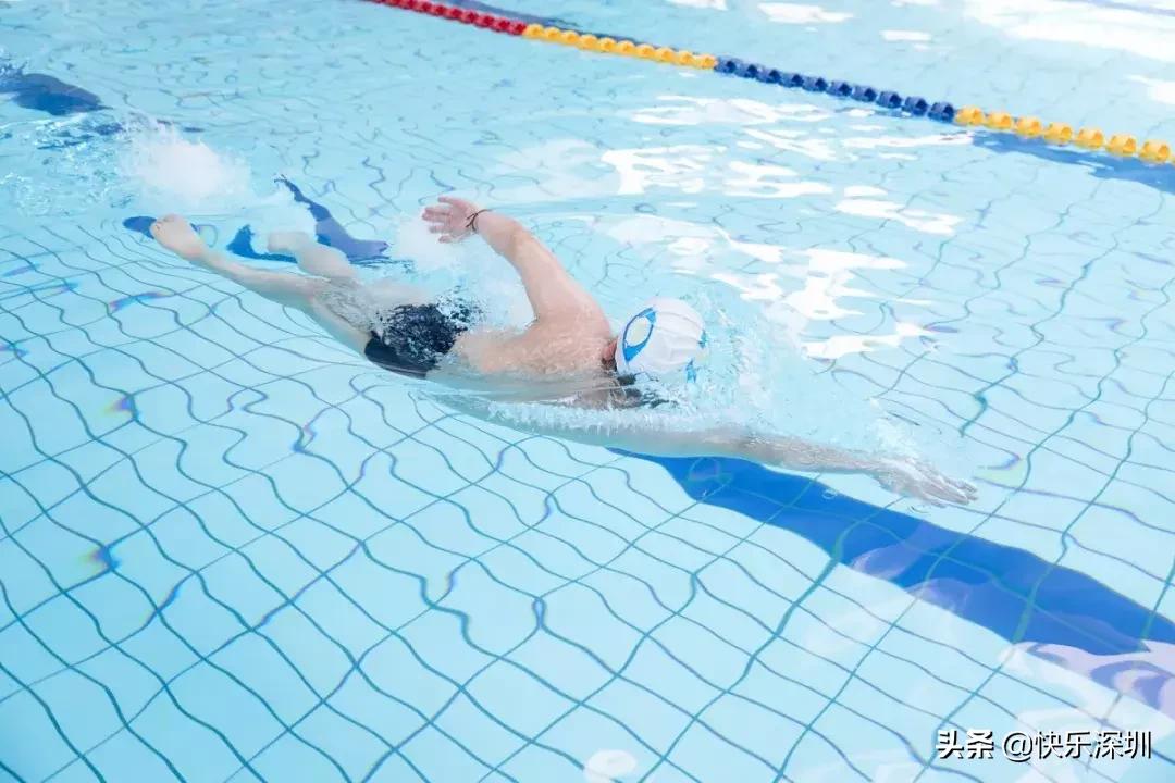 深圳哪里游泳池比较好,深圳游泳馆免费时间表