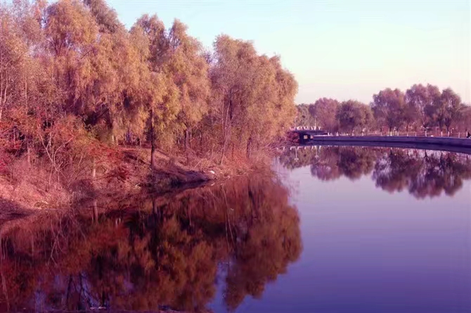 单车后拨滑丝修复,单车后拨掉了怎么修