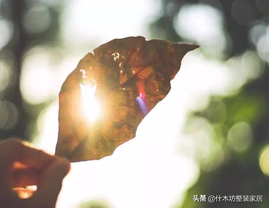 家具发黑发霉是什么原因引起的,家具晒变色了怎么处理