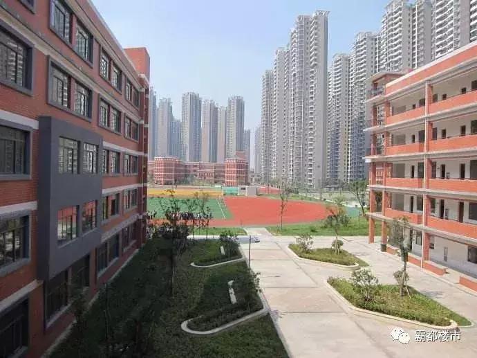 淝河板块屯溪路小学,合肥淝河片区屯溪路小学