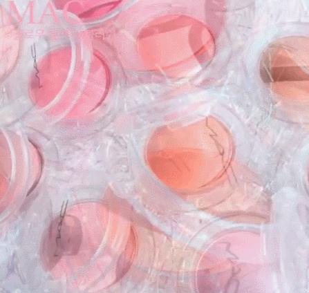 倩碧腮红花瓣腮红,倩碧小雏菊三色腮红