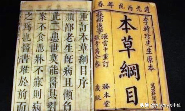 中国人为什么不吃掉猫,中国人为什么不吃猫