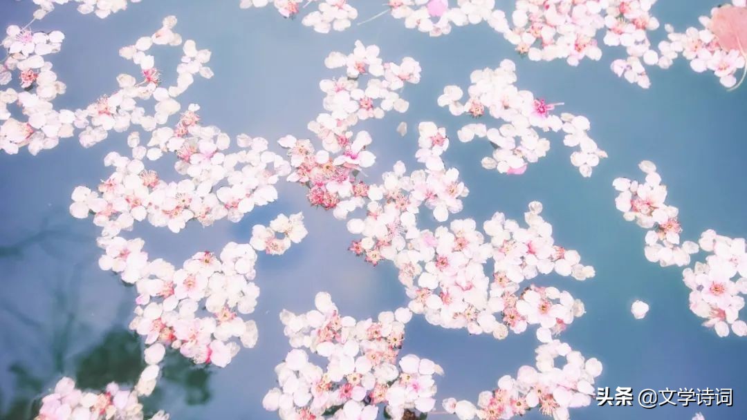 感慨时光流逝的诗句古诗大全,古诗十首唯美伤感诗句