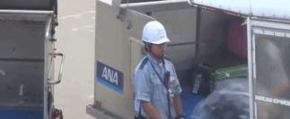 去日本选什么专业,去日本选择哪个航司