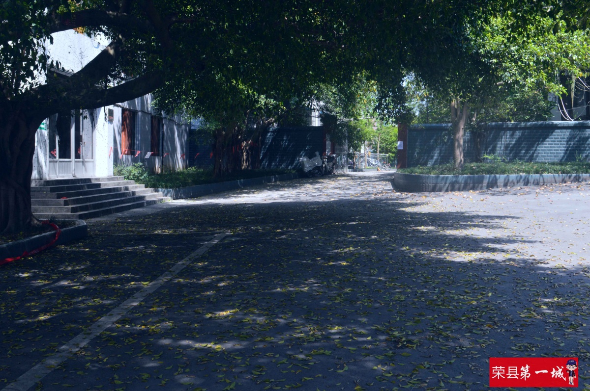 钟鼓楼回忆,荣县中学高中回忆