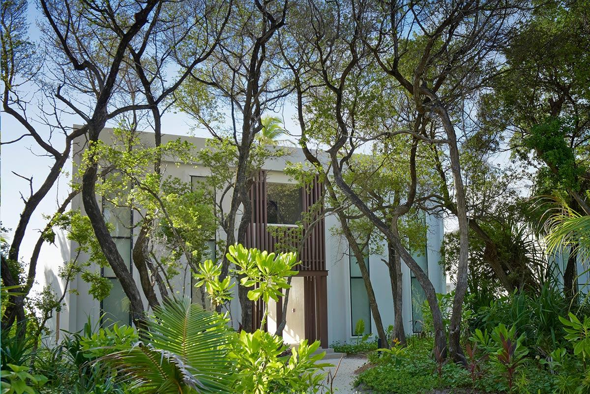 椹唬鍧庤开鐜涘矝鏀荤暐,椹唬鍧庤开鐜涘矝