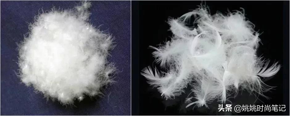 鹅绒的专业知识,羽绒知识的专业讲解