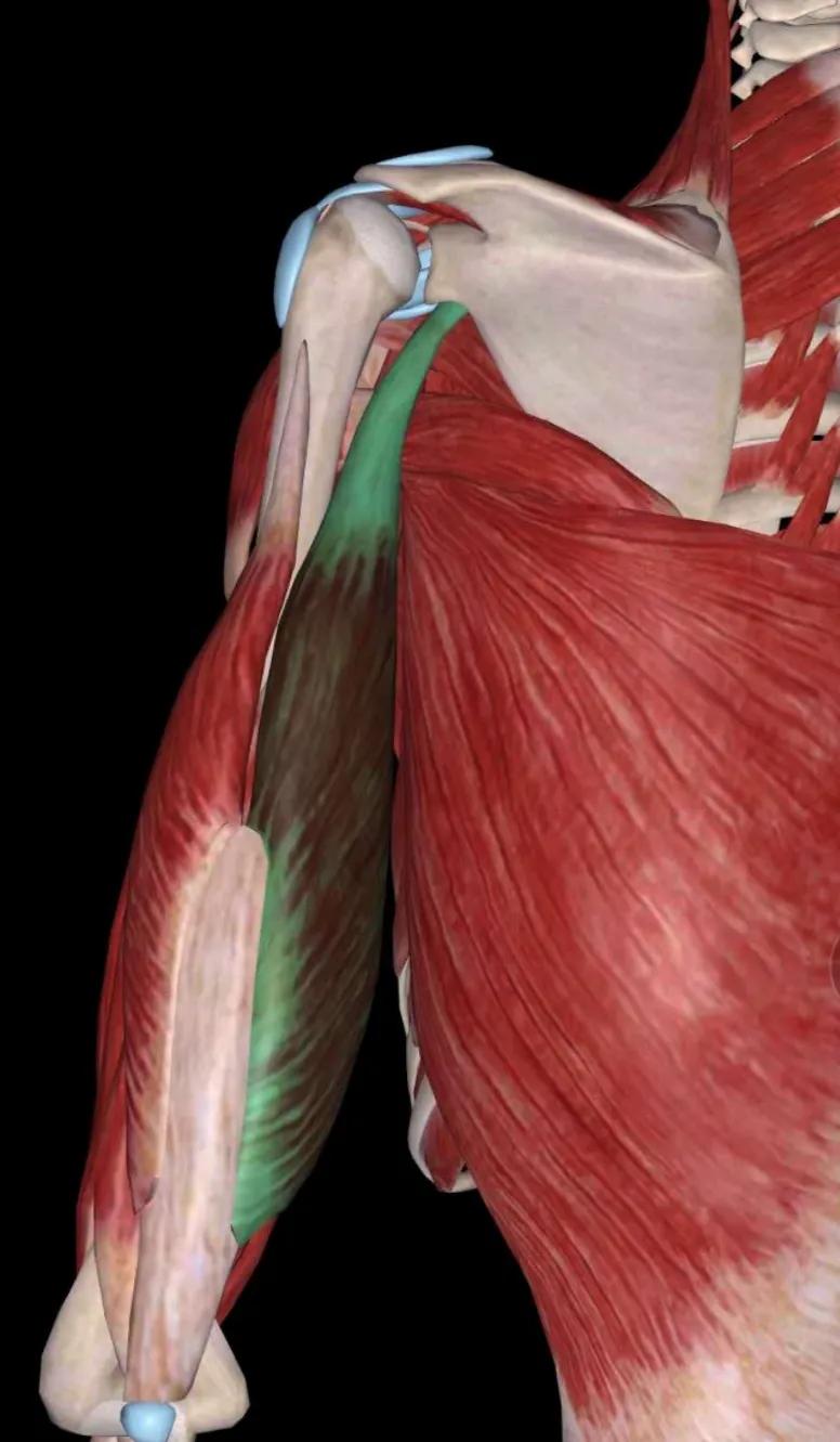 中医不是慢郎中第一集,中医不是慢郎中央视十套