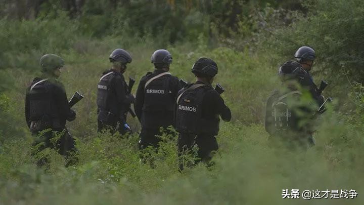 911恐怖袭击事件真实经历,911恐怖袭击事件深度解析