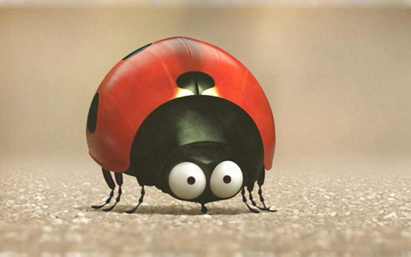 我不是害虫！灭虫高手还是入侵物种？五彩斑斓的异色瓢虫