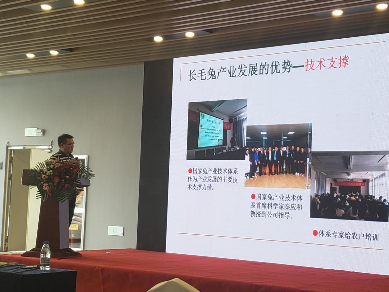 兔业投资,兔业发展公司