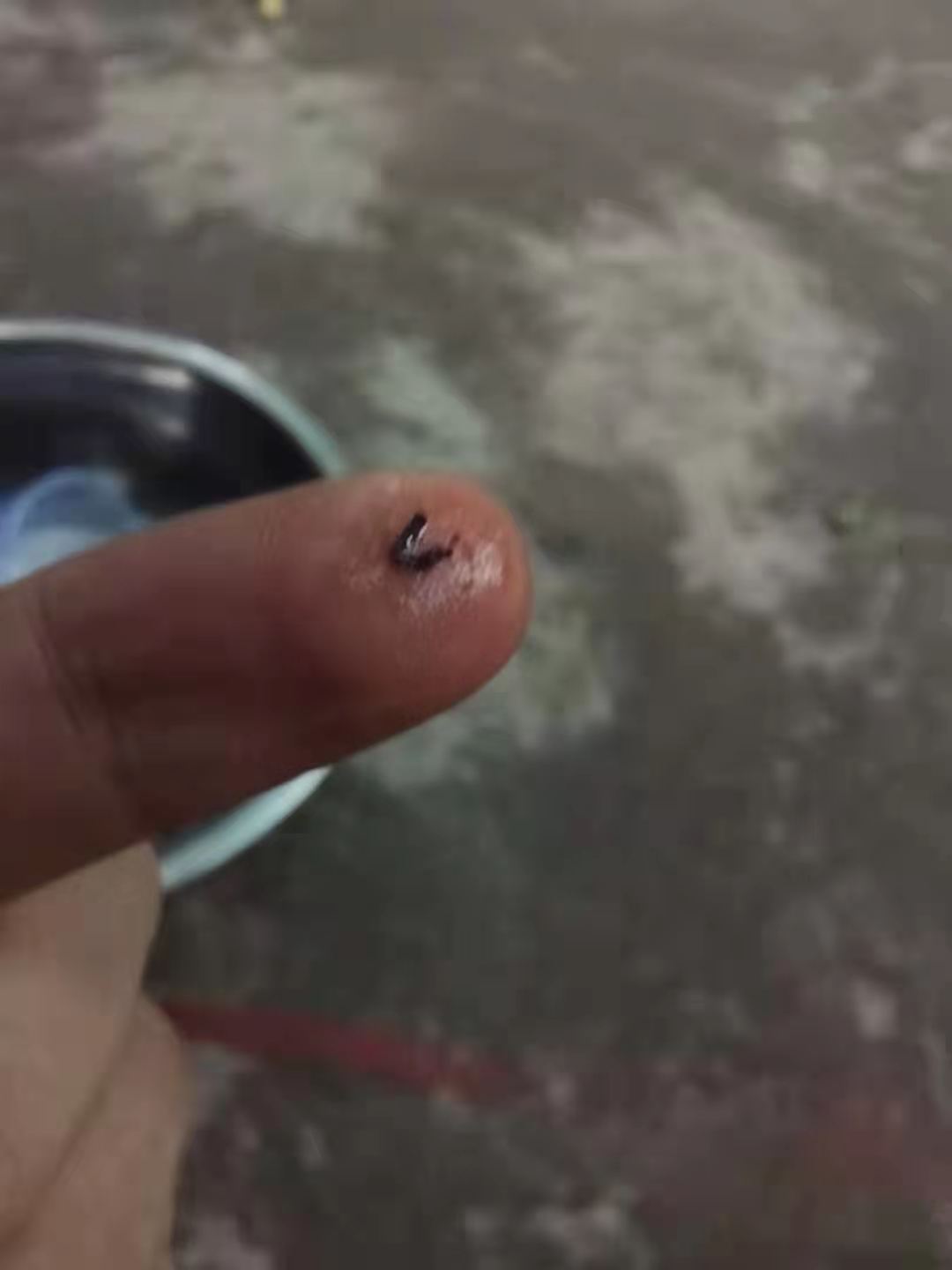 实测，机油滤网上的失踪的铁屑，被误解的发动机机油滤网