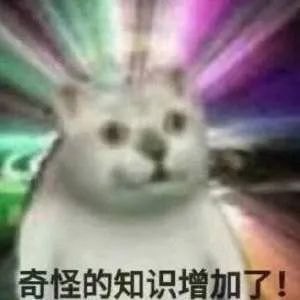 猫在啪啪啪的时候，也有快感吗？