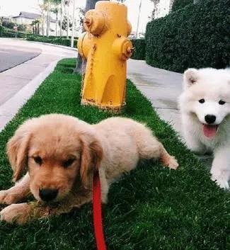 520送对象礼物攻略,520节日的时候送什么礼物最好情侣